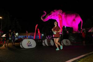 BIB: 
                            <button type="button" onclick="openModal(26544107)" class="btn btn-primary btn-sm float-right btn-popup" data-toggle="modal" data-target=".modal-high-quality">
                        <i class="fas fa-shopping-cart"></i> Add to Cart
                    </button>
                                            <button type="button" onclick="isThisMe(26544107, true)" class="btn btn-success btn-sm float-right btn-popup btn-isme hidden" data-toggle="tooltip" data-placement="bottom" title="นี่คือรูปของคุณใช่ไหม คลิกที่นี่เพื่อเอาเข้าอัลบั้ม">
                        <i class="fas fa-plus"></i> Add to album
                    </button>
                    <button type="button" onclick="isThisMe(26544107, false)" class="btn btn-warning btn-sm float-right btn-popup btn-isnotme hidden">
                        <i class="fas fa-ban"></i> Remove from album
                    </button>